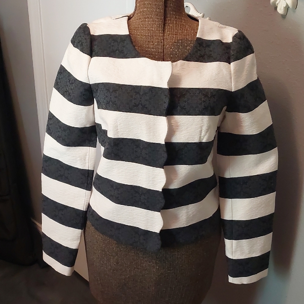 Banana Republic Bold Striped Brocde Blazer